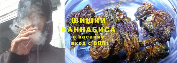ECSTASY Костерёво