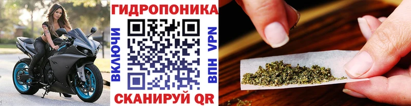 цена наркотик  Медвежьегорск  Каннабис THC 21% 
